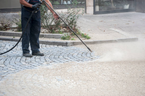 Best Graffiti Removal  in Andusia, AL